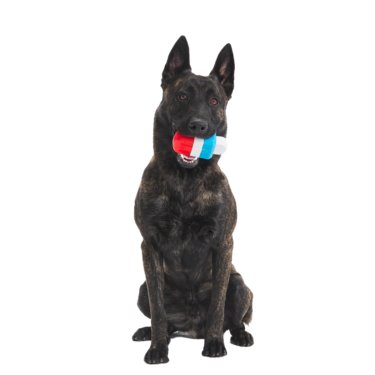 Red White + Chew Pupsicle Super Chewer Durable Gnaw Dog Toy - Image 2