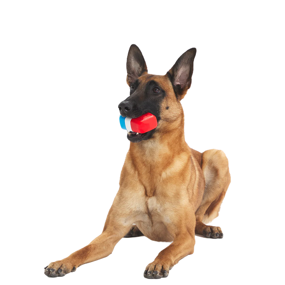 Red White + Chew Pupsicle Super Chewer Durable Gnaw Dog Toy - Image 3