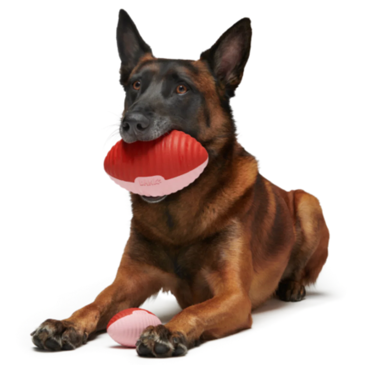 Red Zone Football Durable Super Chewer Fetch Dog Toy - Image 3