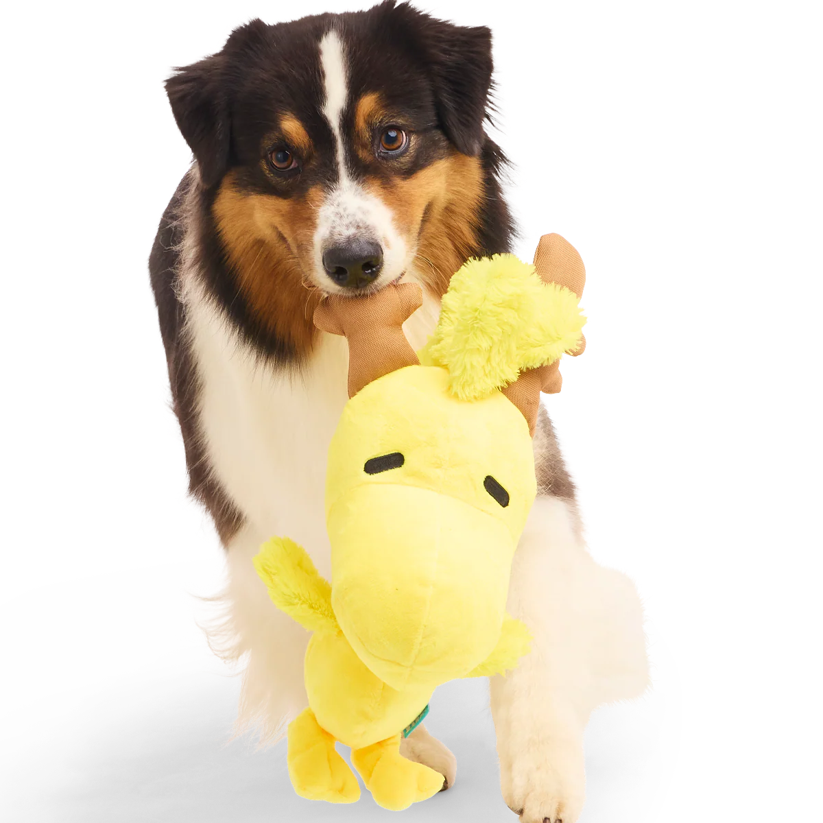 Reinbird Plush Extra-Large Dog Toy - Image 3