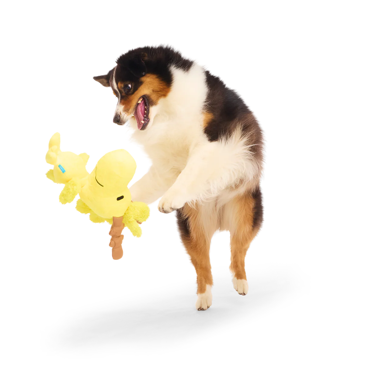Reinbird Plush Extra-Large Dog Toy - Image 4