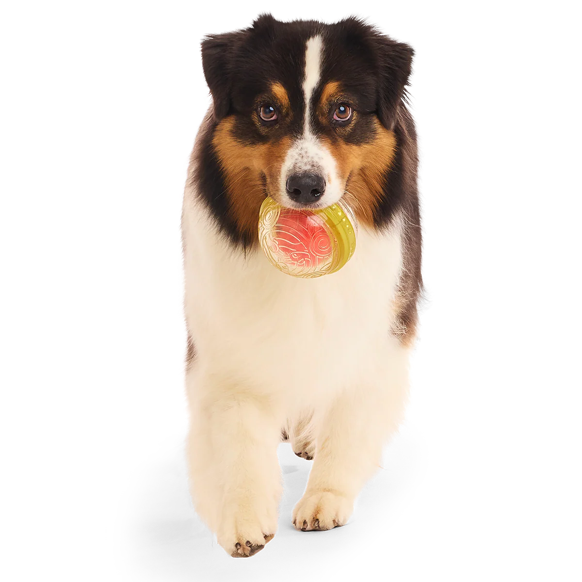 Remembrall™ Super Chewer Durable Fetch Dog Toy - Image 2