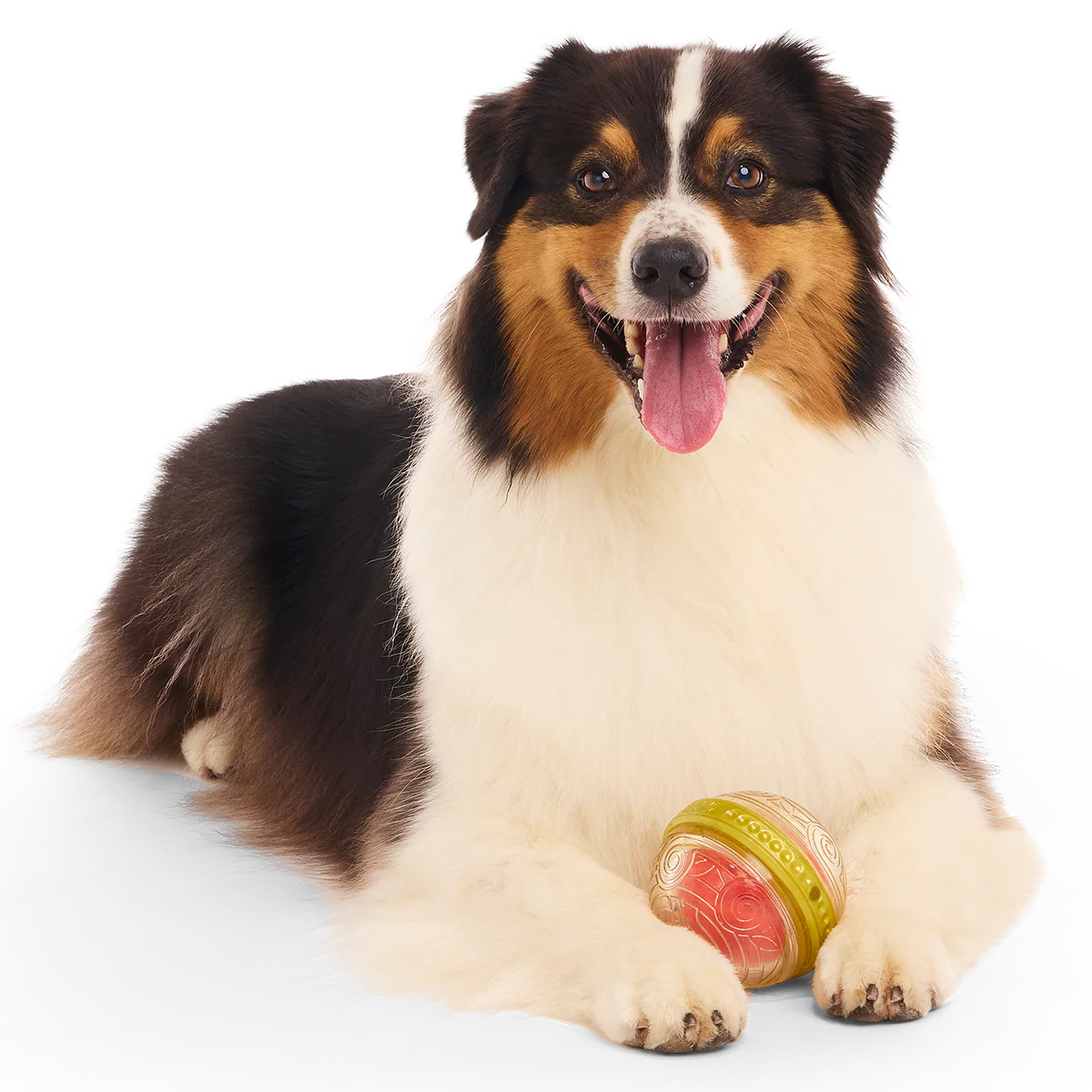 Remembrall™ Super Chewer Durable Fetch Dog Toy - Image 3