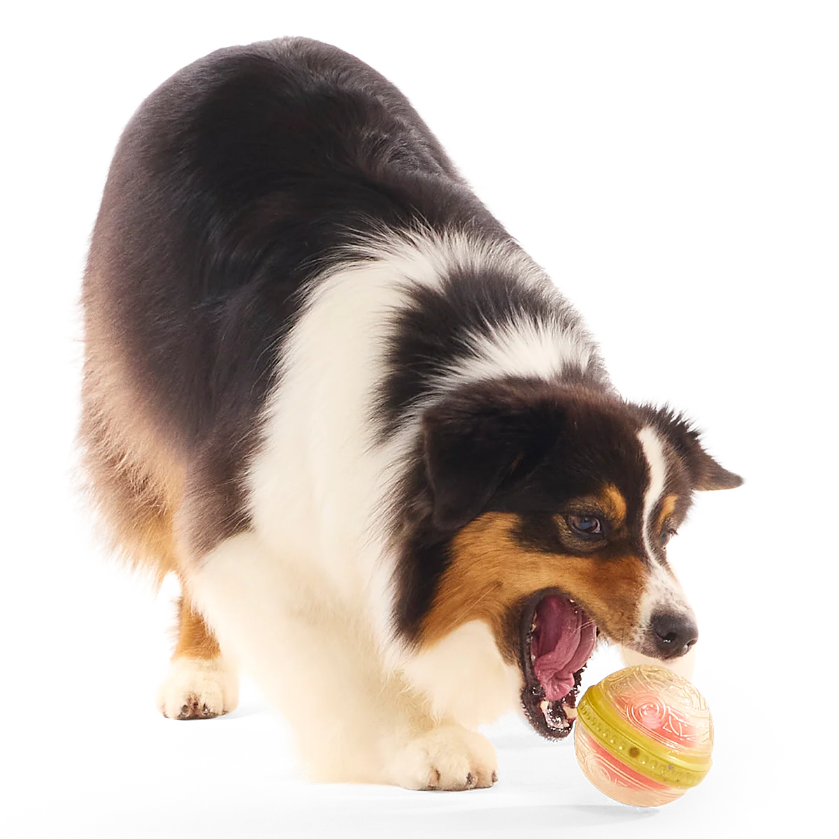 Remembrall™ Super Chewer Durable Fetch Dog Toy - Image 4