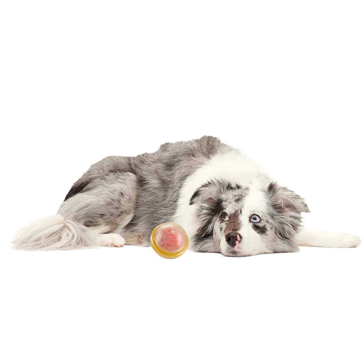 Remembrall™ Super Chewer Durable Fetch Dog Toy - Image 5