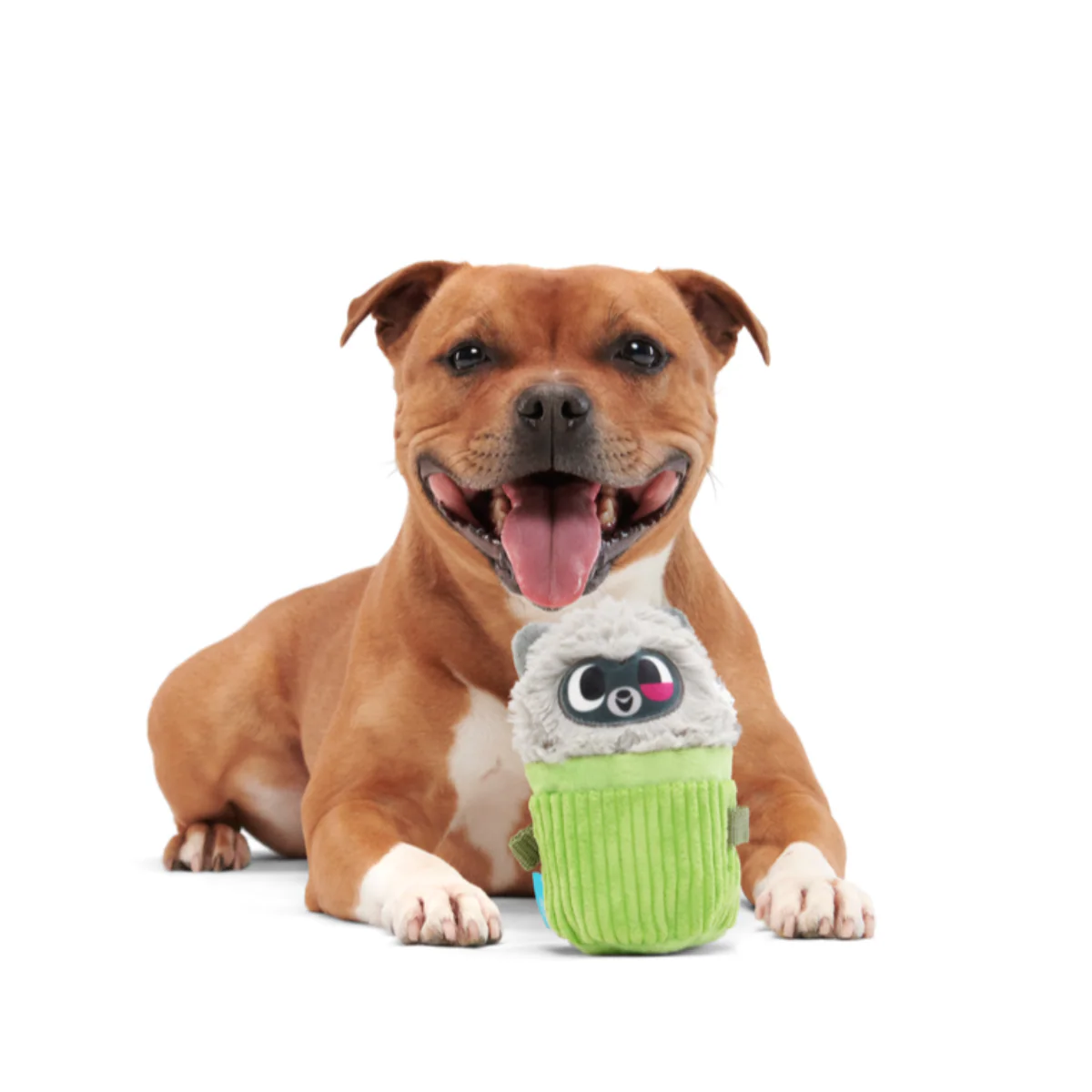 Rickie Racoon the Trash Tycoon Plush Enrichment + Multi-Part Dog Toy - Image 3