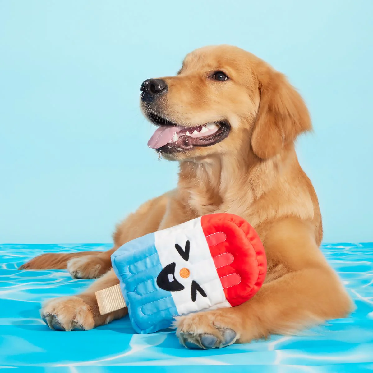 Rocket Droolsicle Plush Tug Dog Toy - Image 4