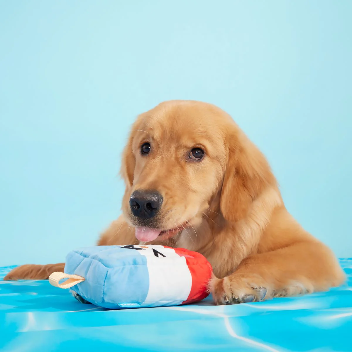 Rocket Droolsicle Plush Tug Dog Toy - Image 5