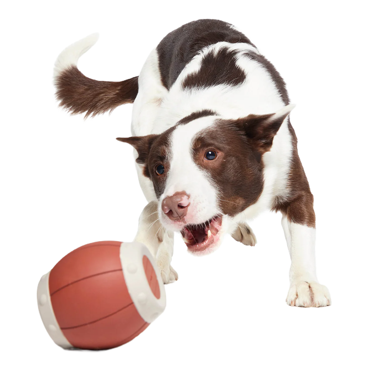 Roll Over A Barrel Super Chewer Durable Enrichment Dog Toy - Image 3