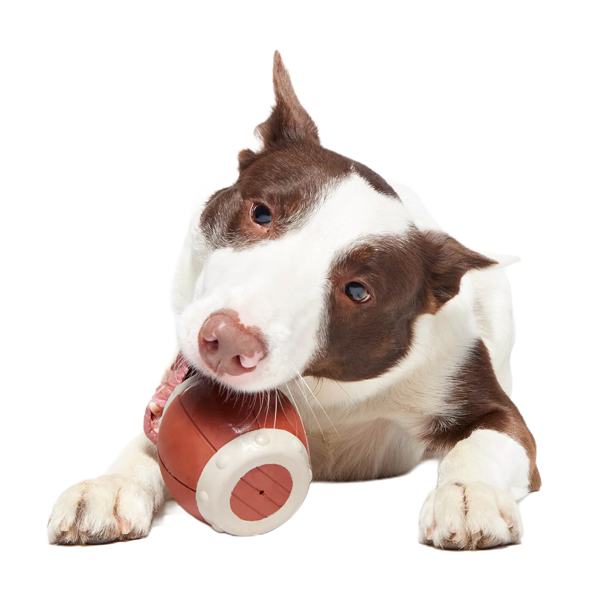 Roll Over A Barrel Super Chewer Durable Enrichment Dog Toy - Image 4