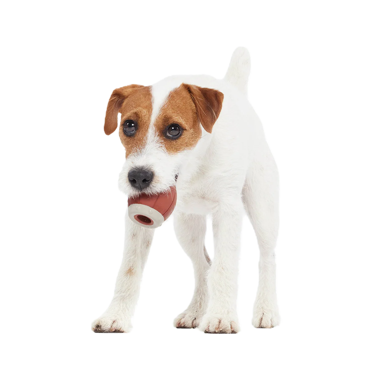 Roll Over A Barrel Super Chewer Durable Enrichment Dog Toy - Image 5