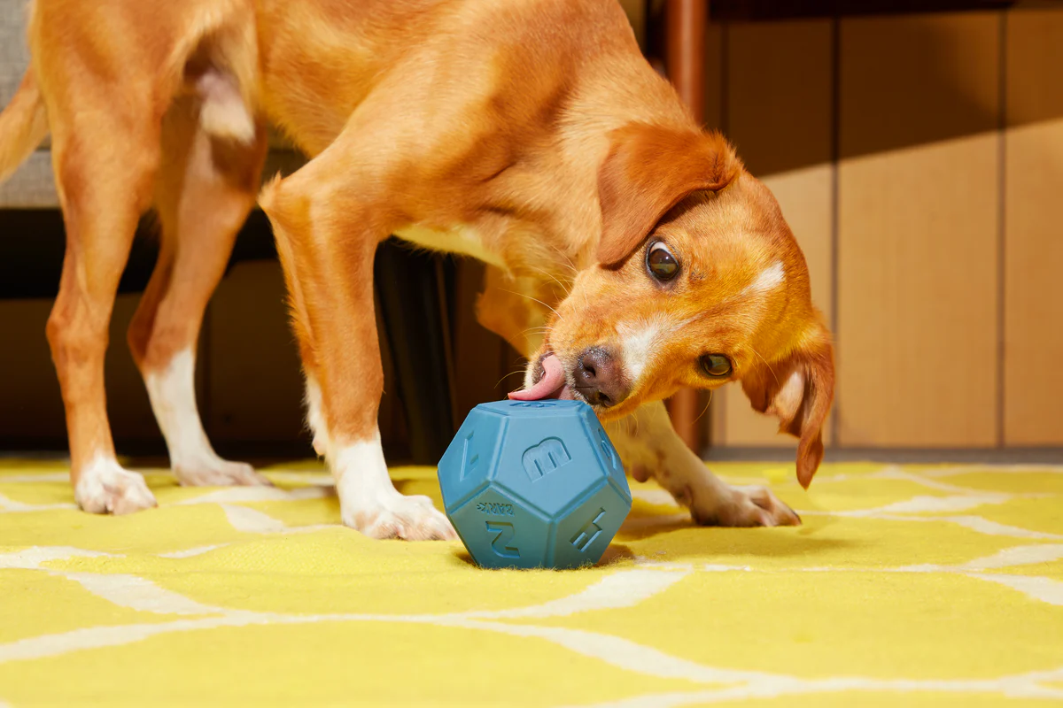 Roll + Play Dice - Image 3