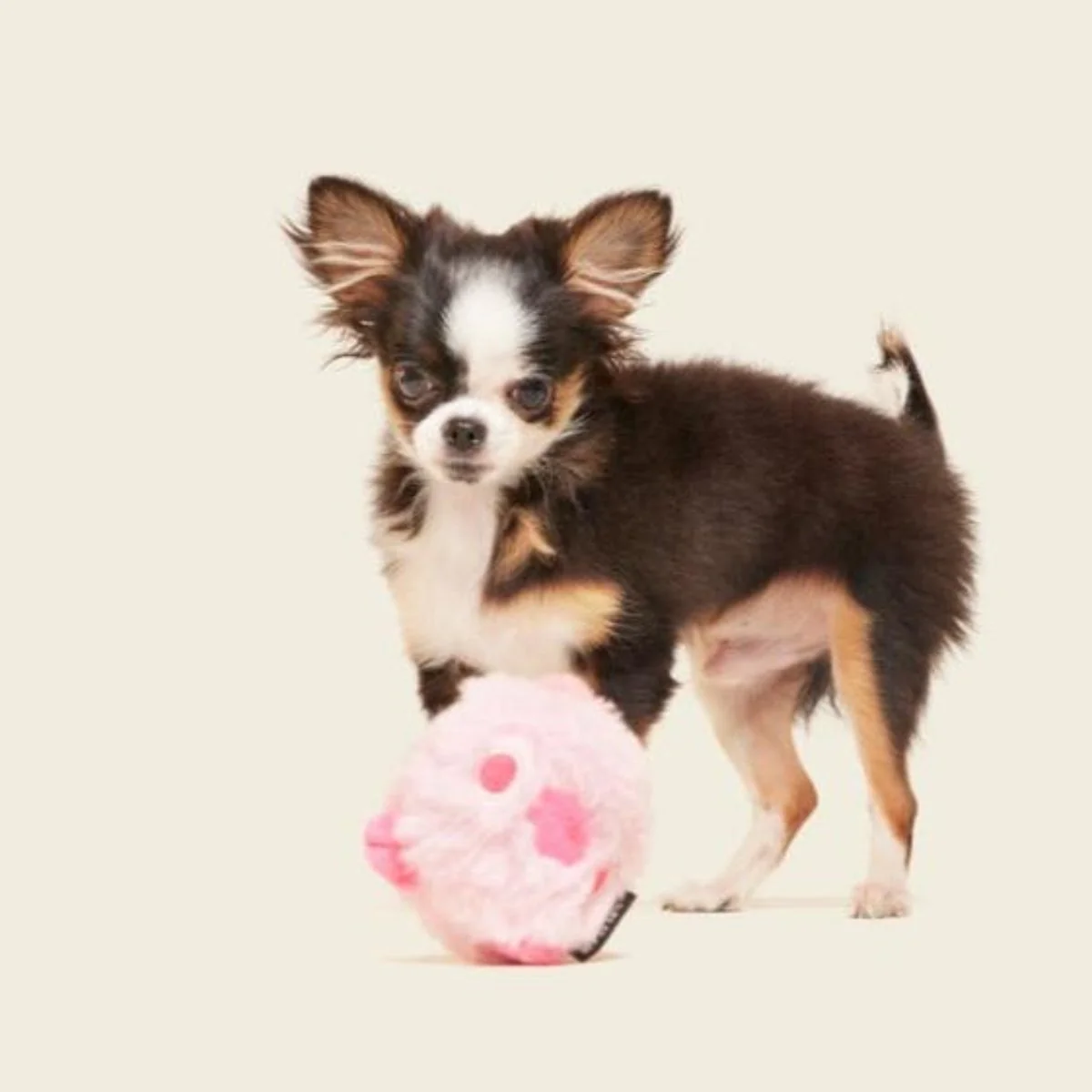 Rosy Tough Chick Super Chewer Durable 2-in-1 Dog Toy - Image 4