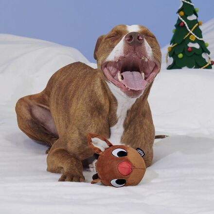 Reindeer Games™ Rudolph® Durable Super Chewer Enrichment + 2-in-1 Rip and Reveal Dog Toy - Image 6