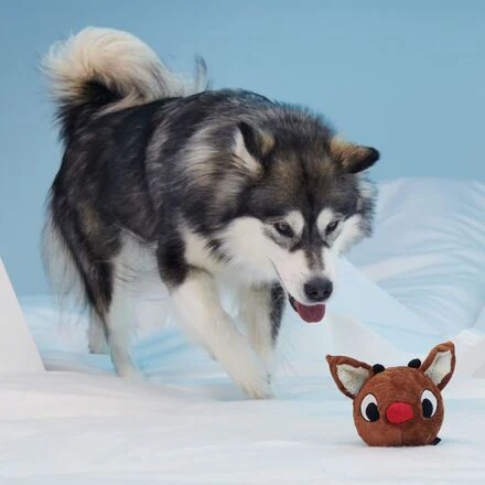 Reindeer Games™ Rudolph® Durable Super Chewer Enrichment + 2-in-1 Rip and Reveal Dog Toy - Image 9