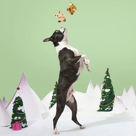 Rudolph® & Clarice™ Plush Multi-Part Dog Toy - Image 2