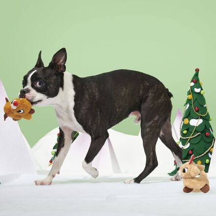 Rudolph® & Clarice™ Plush Multi-Part Dog Toy - Image 3
