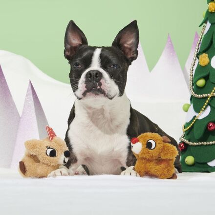 Rudolph® & Clarice™ Plush Multi-Part Dog Toy - Image 4