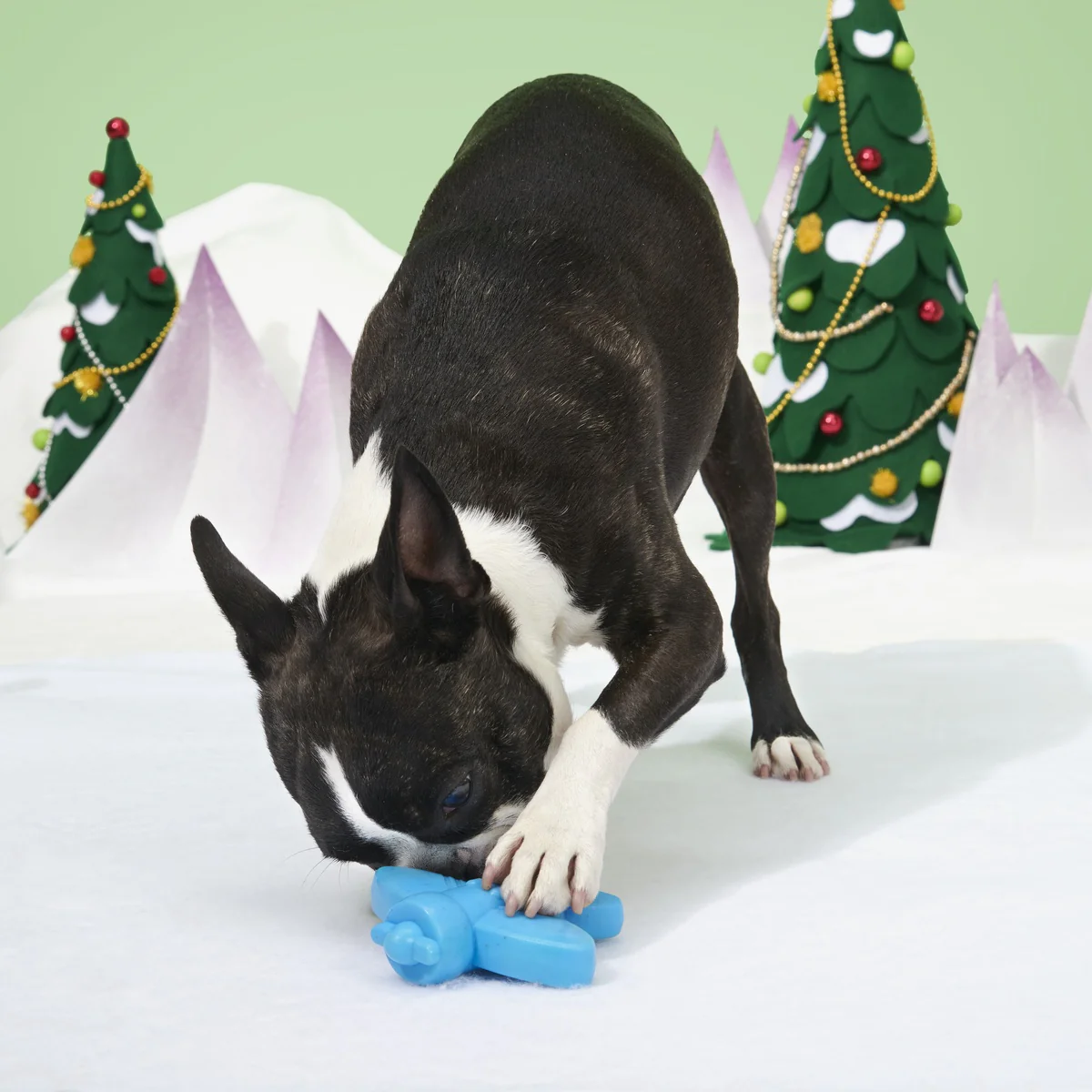 Rudolph® Holiday Super Chewer Gift Box - Image 14