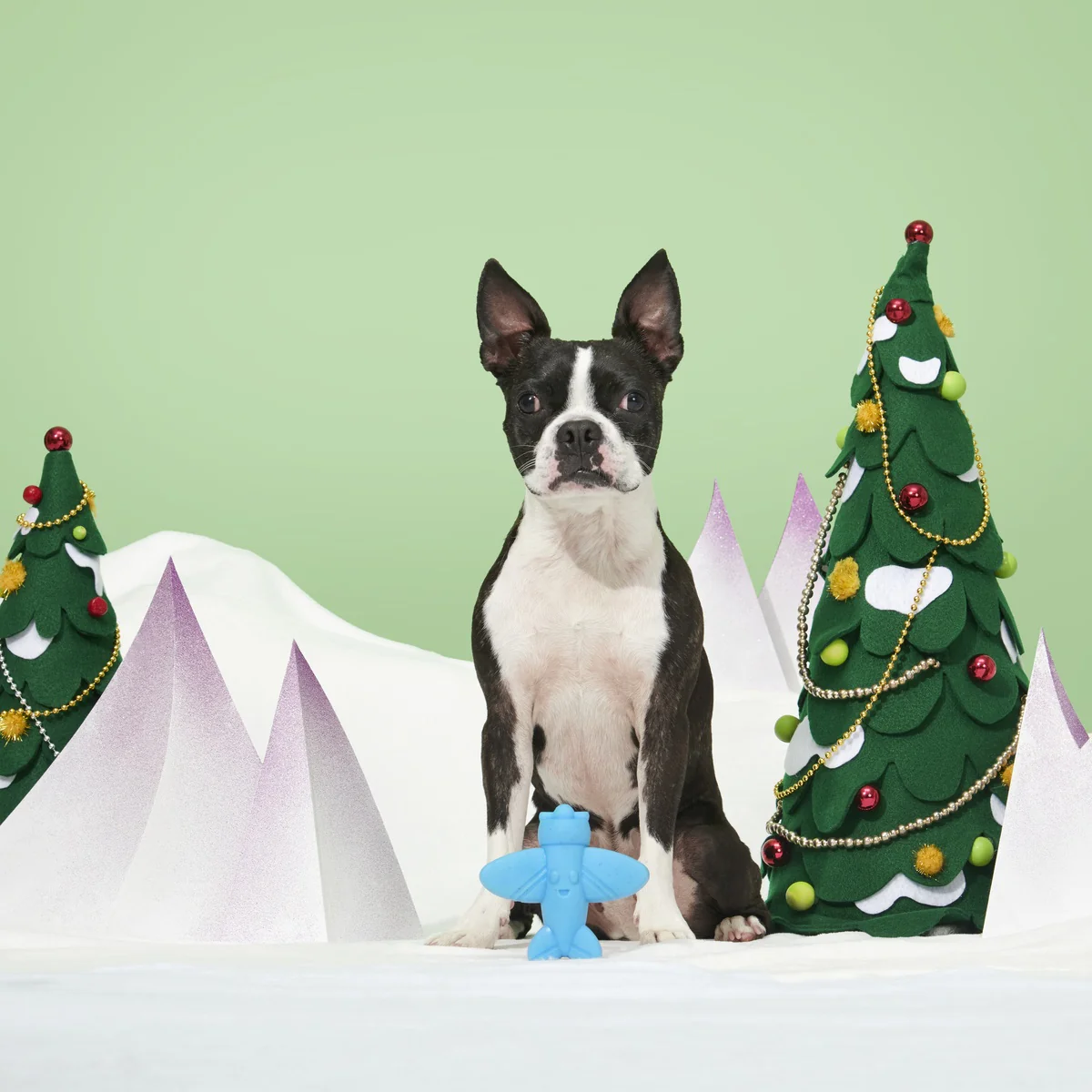 Rudolph® Holiday Super Chewer Gift Box - Image 15