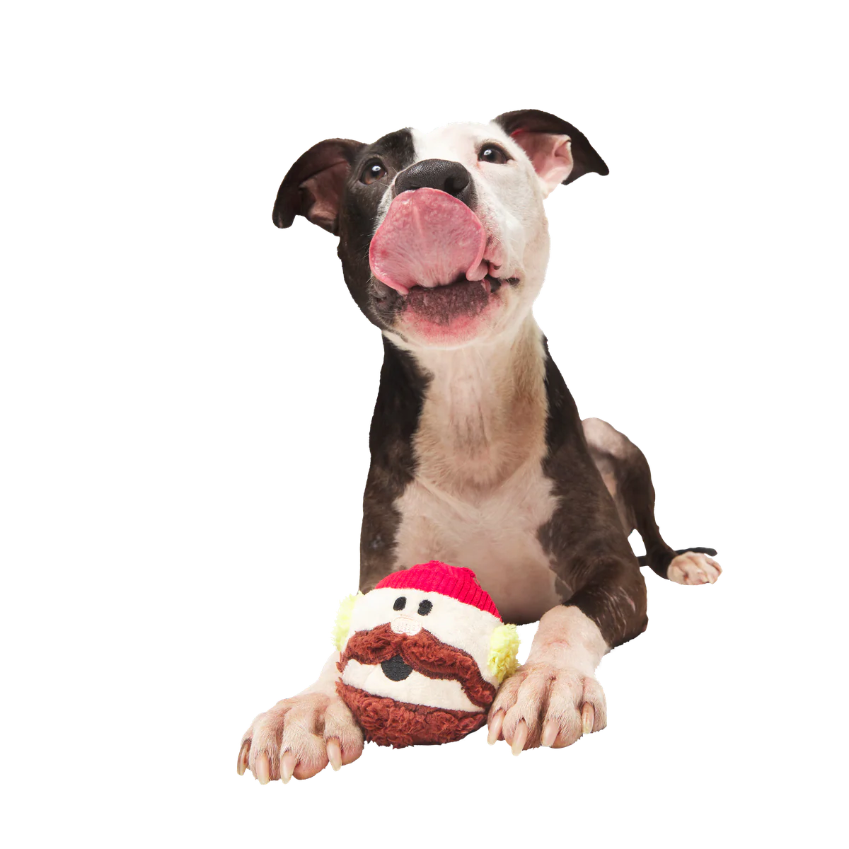 Rudolph® Holiday Super Chewer Gift Box - Image 19
