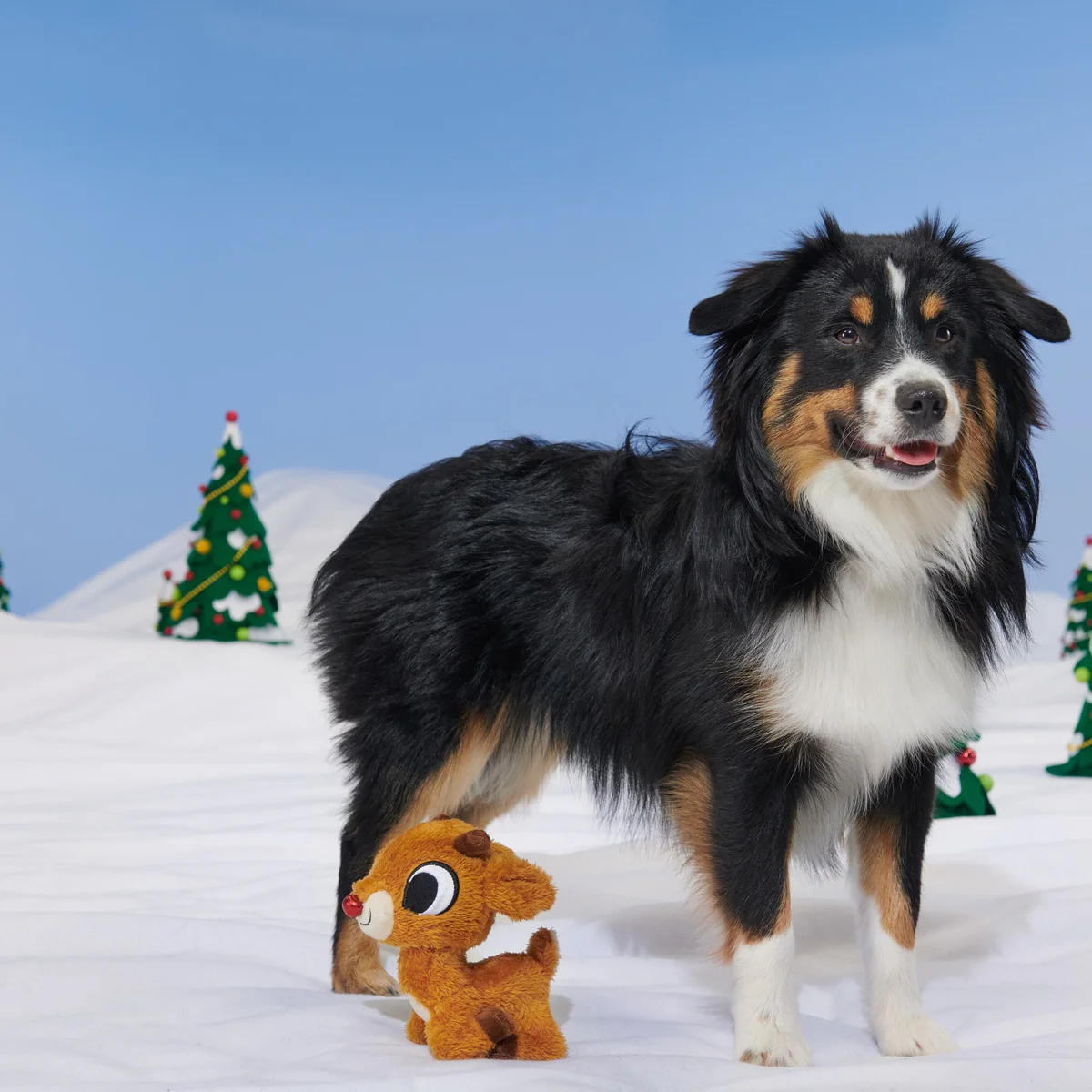 Rudolph the Red-Nosed Reindeer® Plush Tug Dog Toy - Image 5