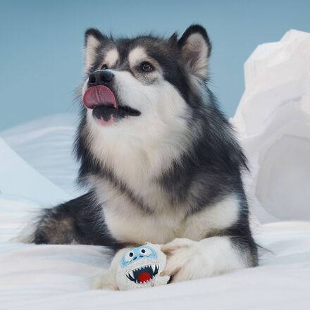 Ruff n' Tumble Bumble™ Durable Super Chewer 2-in-1 Rip and Reveal Dog Toy - Image 6