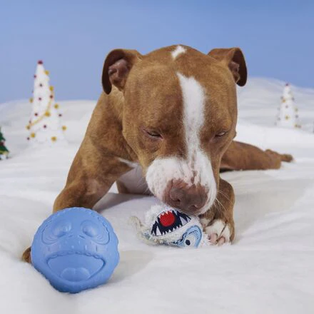 Ruff n' Tumble Bumble™ Durable Super Chewer 2-in-1 Rip and Reveal Dog Toy - Image 8
