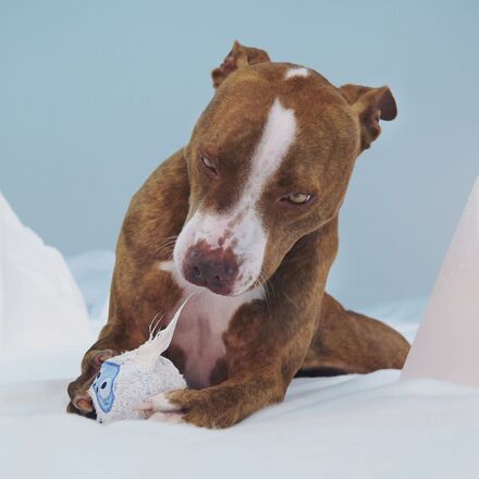 Ruff n' Tumble Bumble™ Durable Super Chewer 2-in-1 Rip and Reveal Dog Toy - Image 9