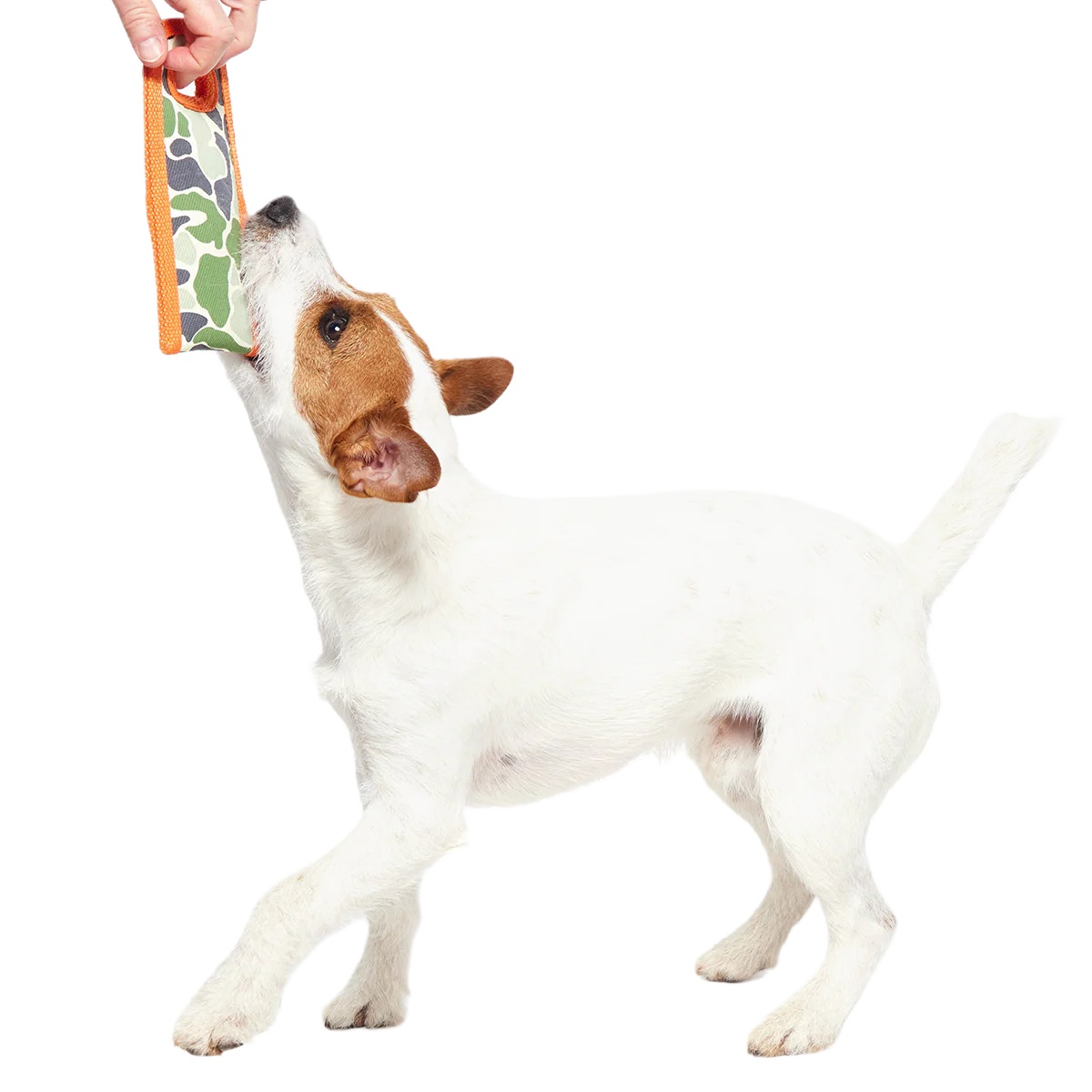 Ruffhouse Camo Tug Super Chewer Durable Dog Toy - Image 5
