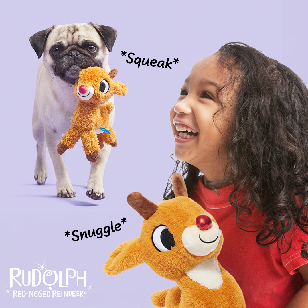 Runnin' Rudolph® Plush Multi-Part Kid + Dog Toy Bundle - Image 3