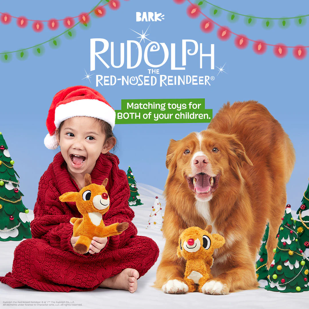 Runnin' Rudolph® Plush Multi-Part Kid + Dog Toy Bundle - Image 5