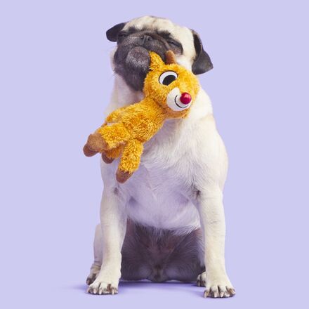Runnin' Rudolph® Plush Tug Dog Toy - Image 4