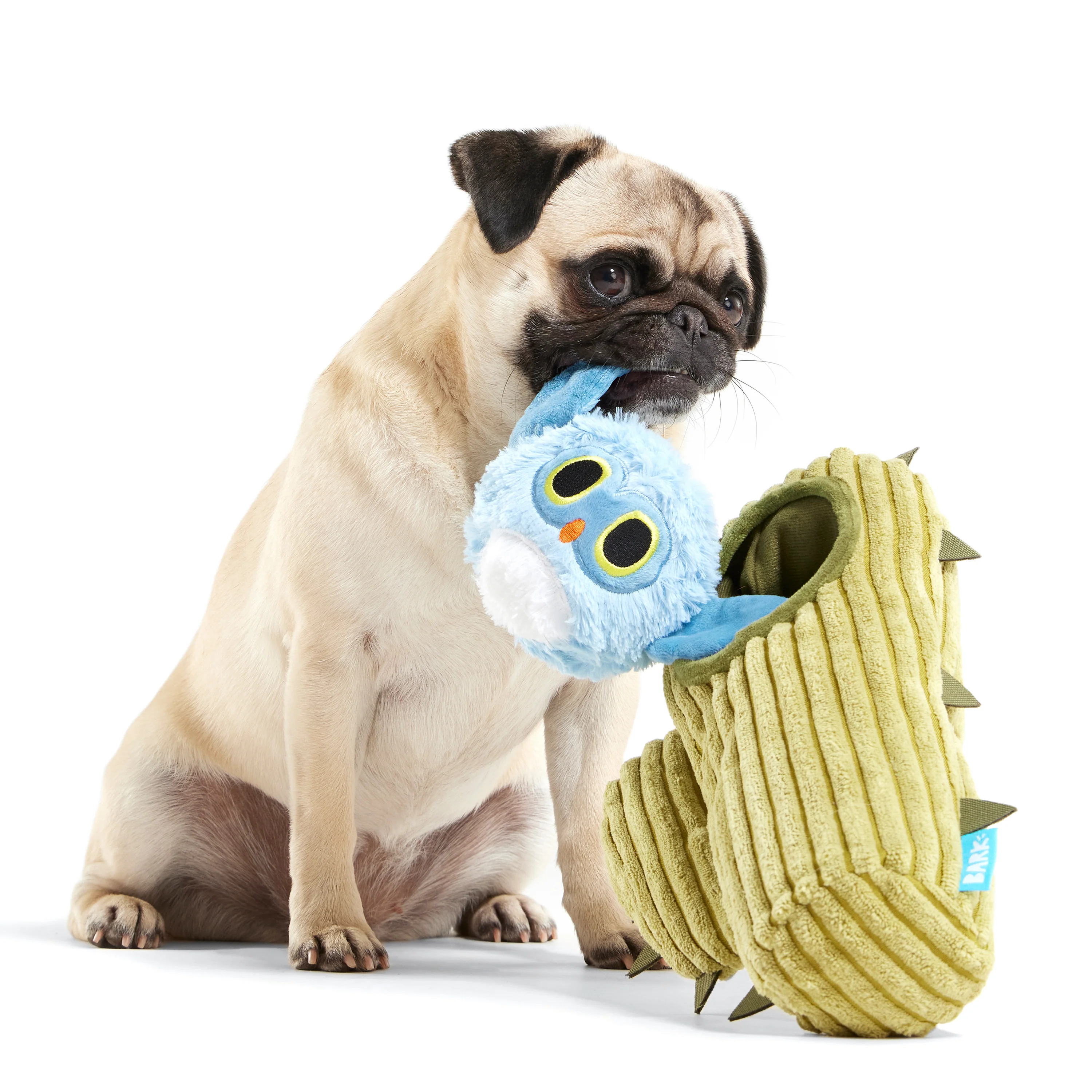 Saguaro Sammy Plush Multi-Part Dog Toy - Image 3
