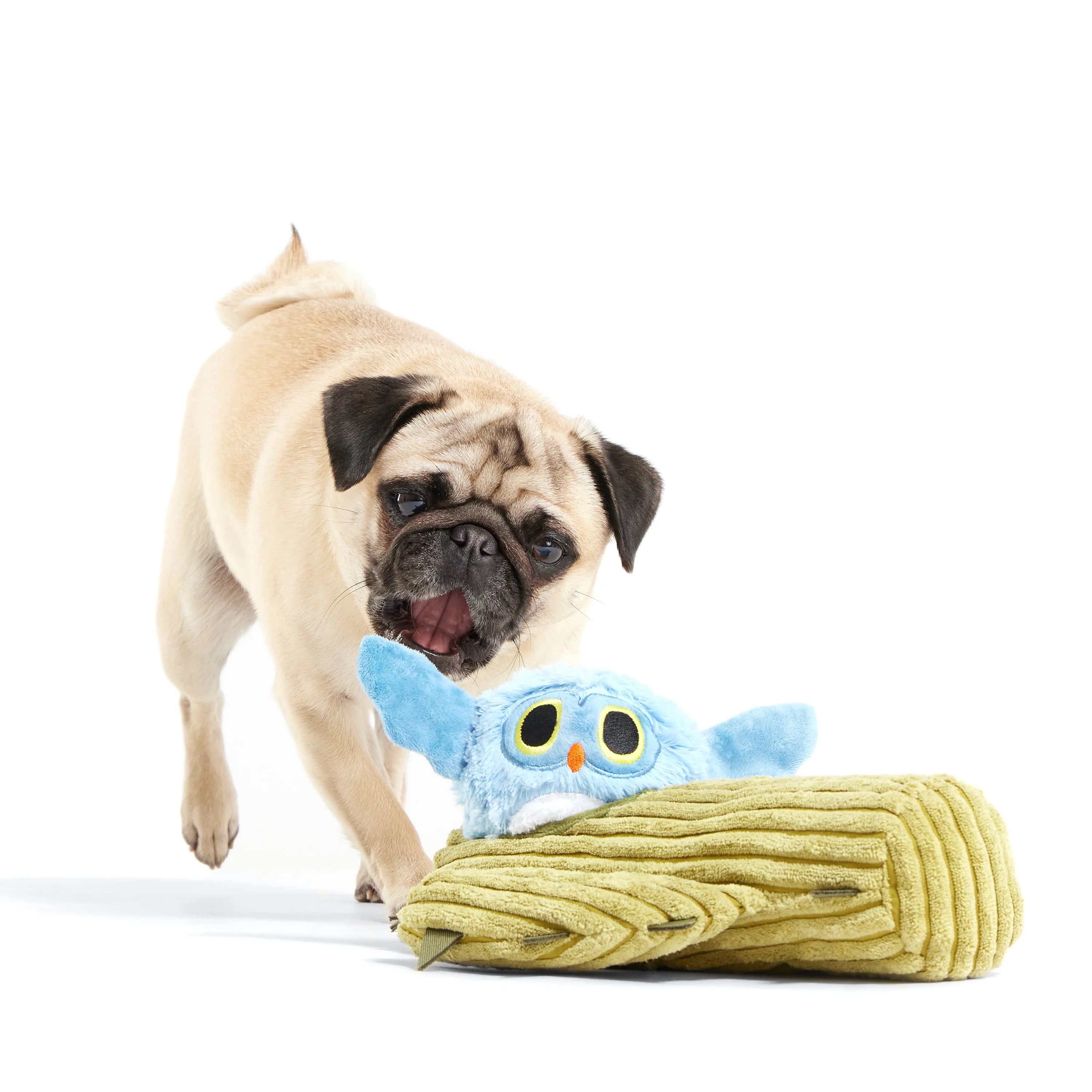 Saguaro Sammy Plush Multi-Part Dog Toy - Image 4