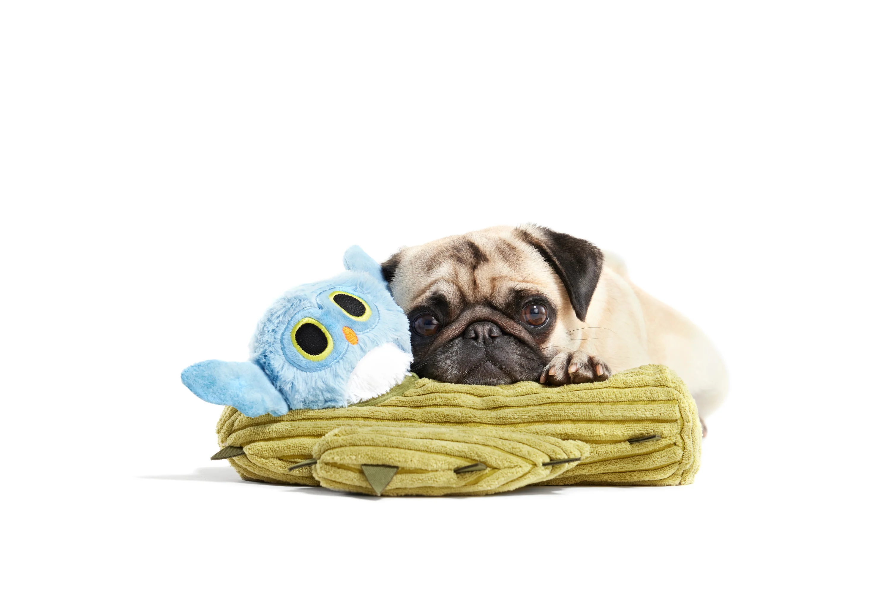 Saguaro Sammy Plush Multi-Part Dog Toy - Image 5