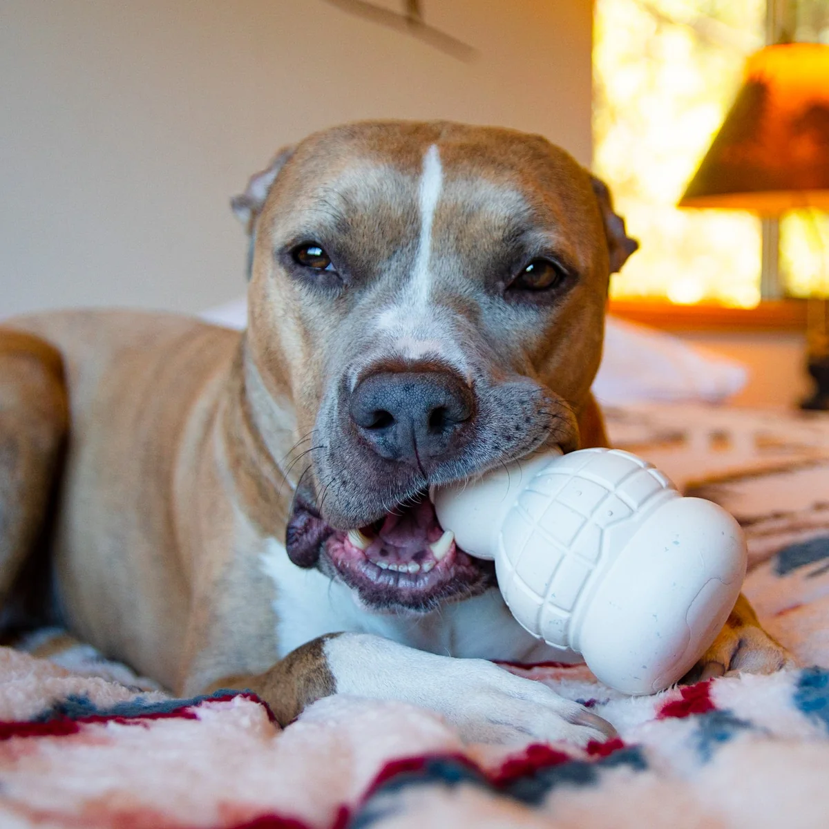 Sam the Snowman™ Super Chewer Durable Gnaw Dog Toy - Image 2