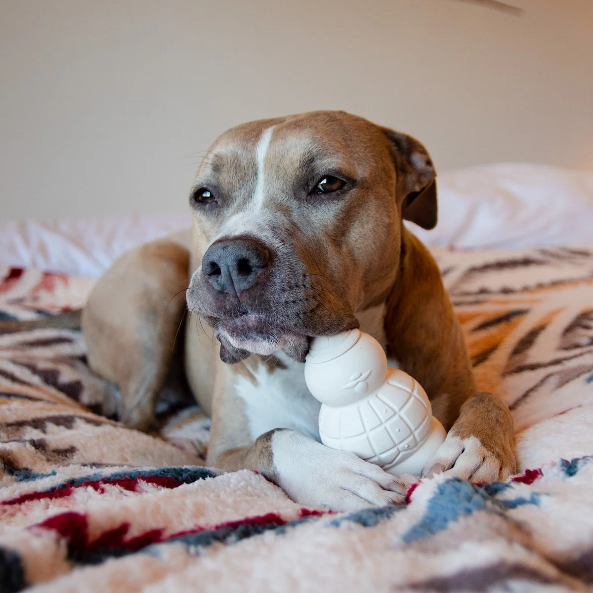 Sam the Snowman™ Super Chewer Durable Gnaw Dog Toy - Image 3