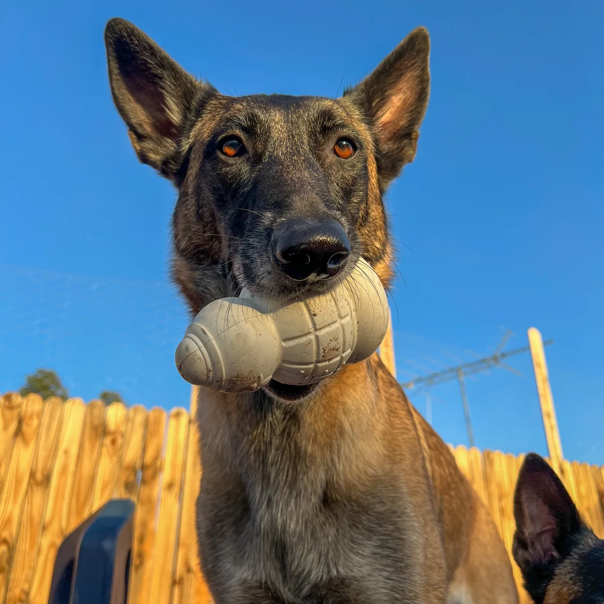 Sam the Snowman™ Super Chewer Durable Gnaw Dog Toy - Image 4