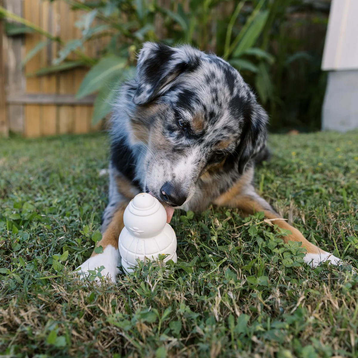 Sam the Snowman™ Super Chewer Durable Gnaw Dog Toy - Image 6