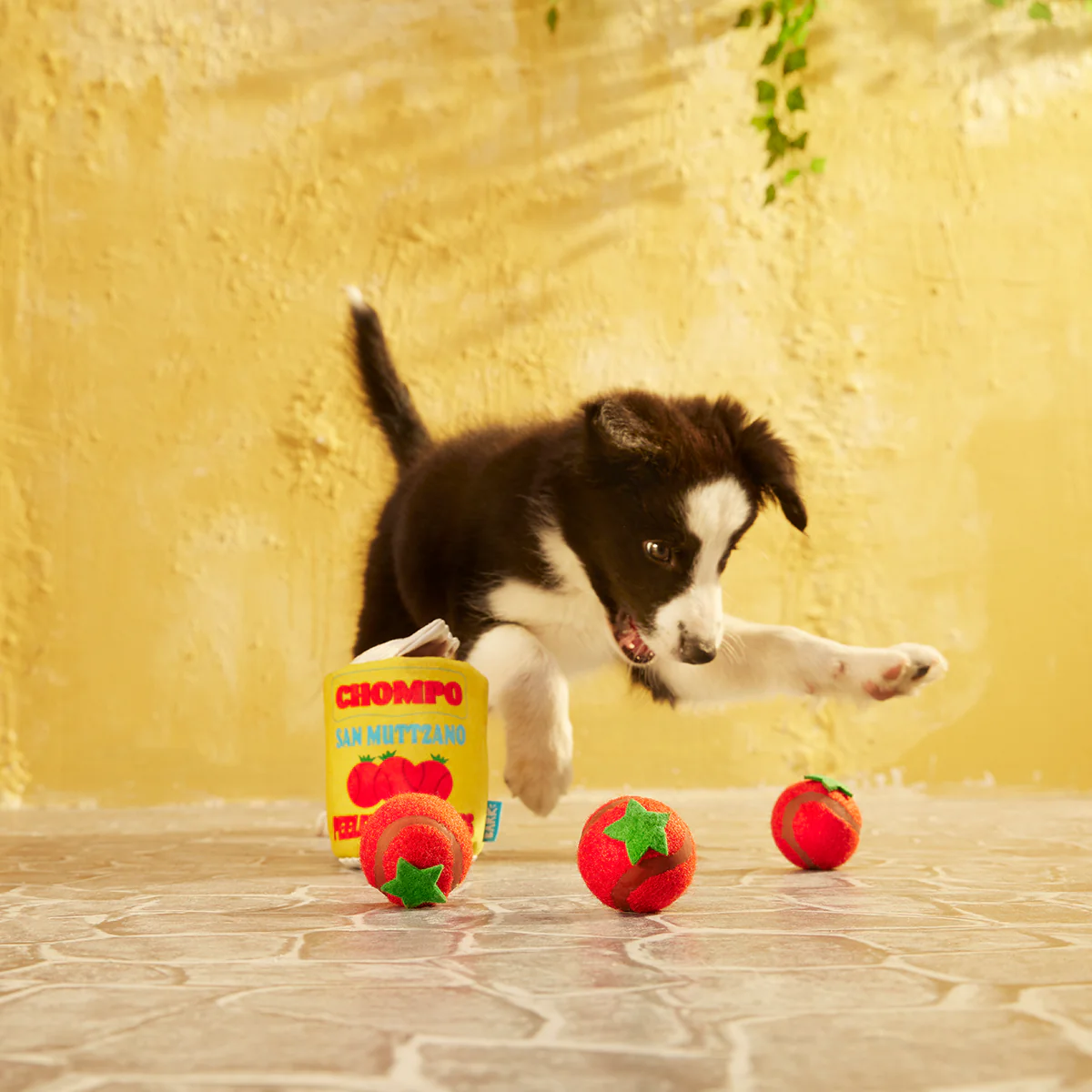 San Muttzano Tomatoes Plush Multi-Part Enrichment + Fetch Dog Toy - Image 3