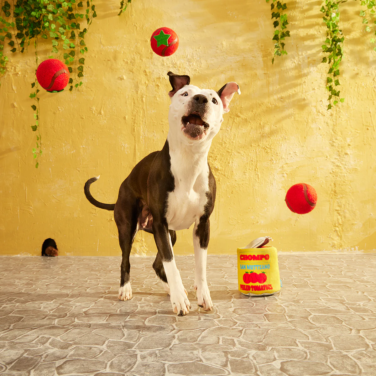 San Muttzano Tomatoes Plush Multi-Part Enrichment + Fetch Dog Toy - Image 5