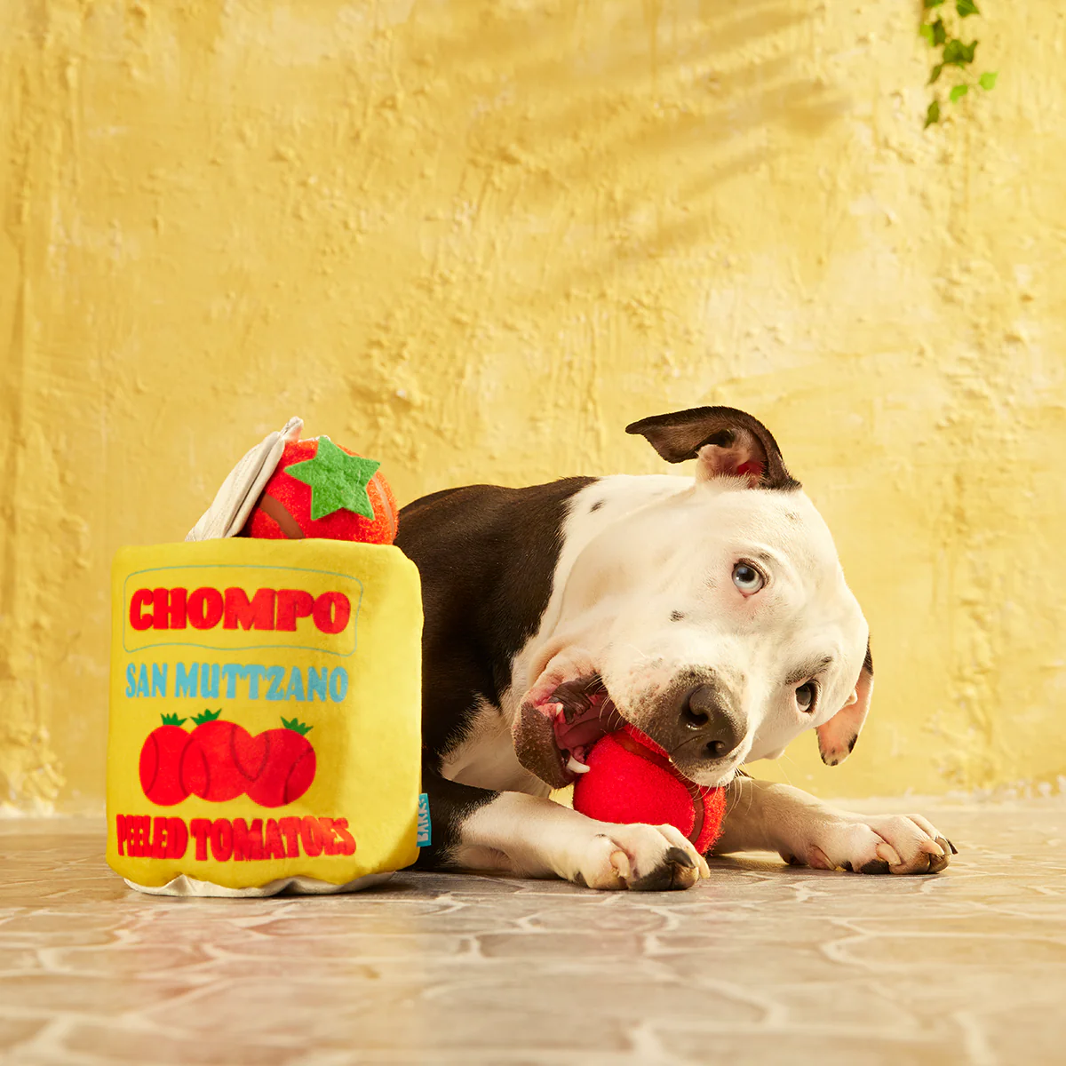 San Muttzano Tomatoes Plush Multi-Part Enrichment + Fetch Dog Toy - Image 6