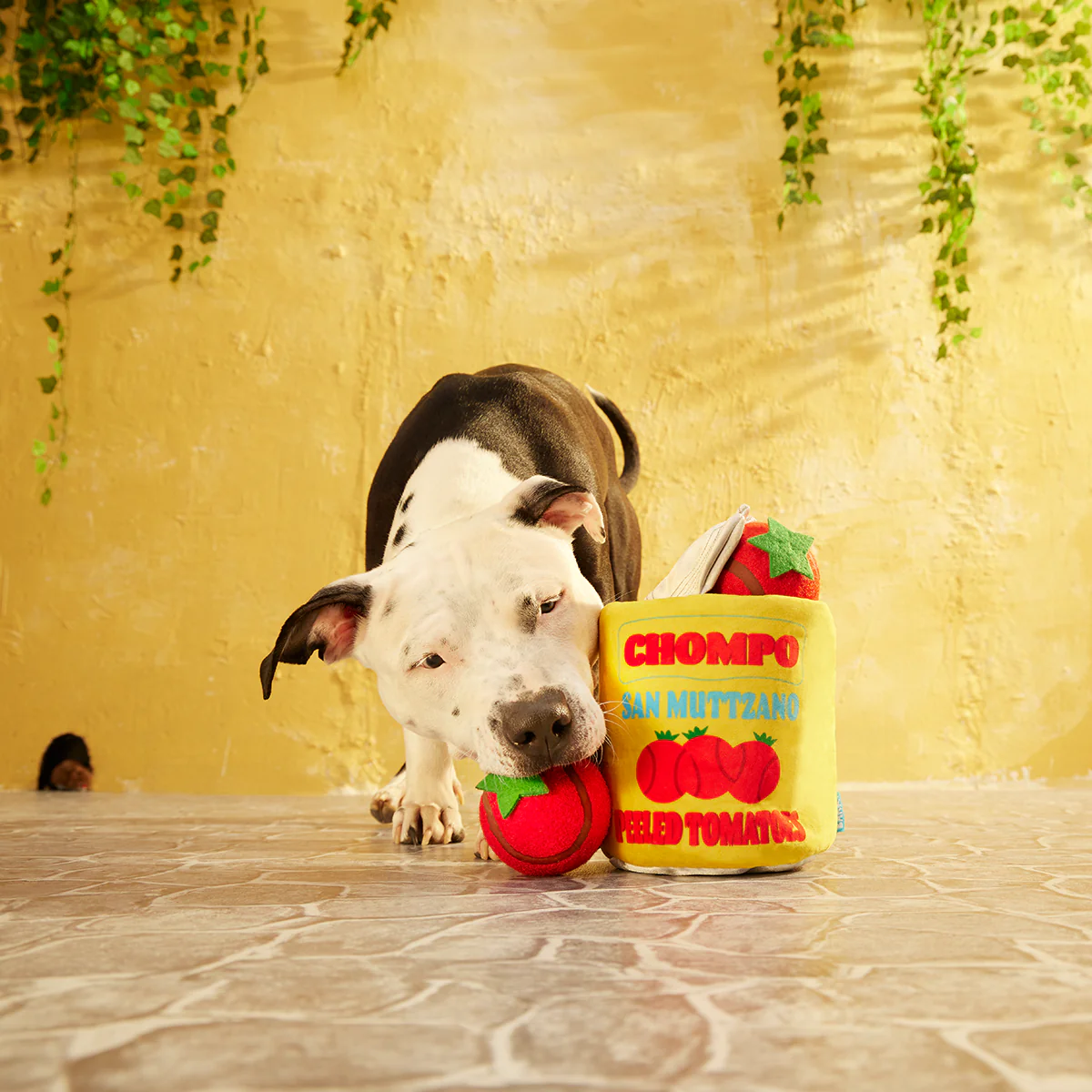 San Muttzano Tomatoes Plush Multi-Part Enrichment + Fetch Dog Toy - Image 7