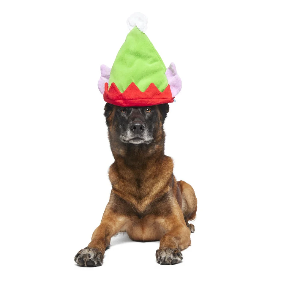 Santa's Little Yelper Plush Wearable Dog Toy - Image 2