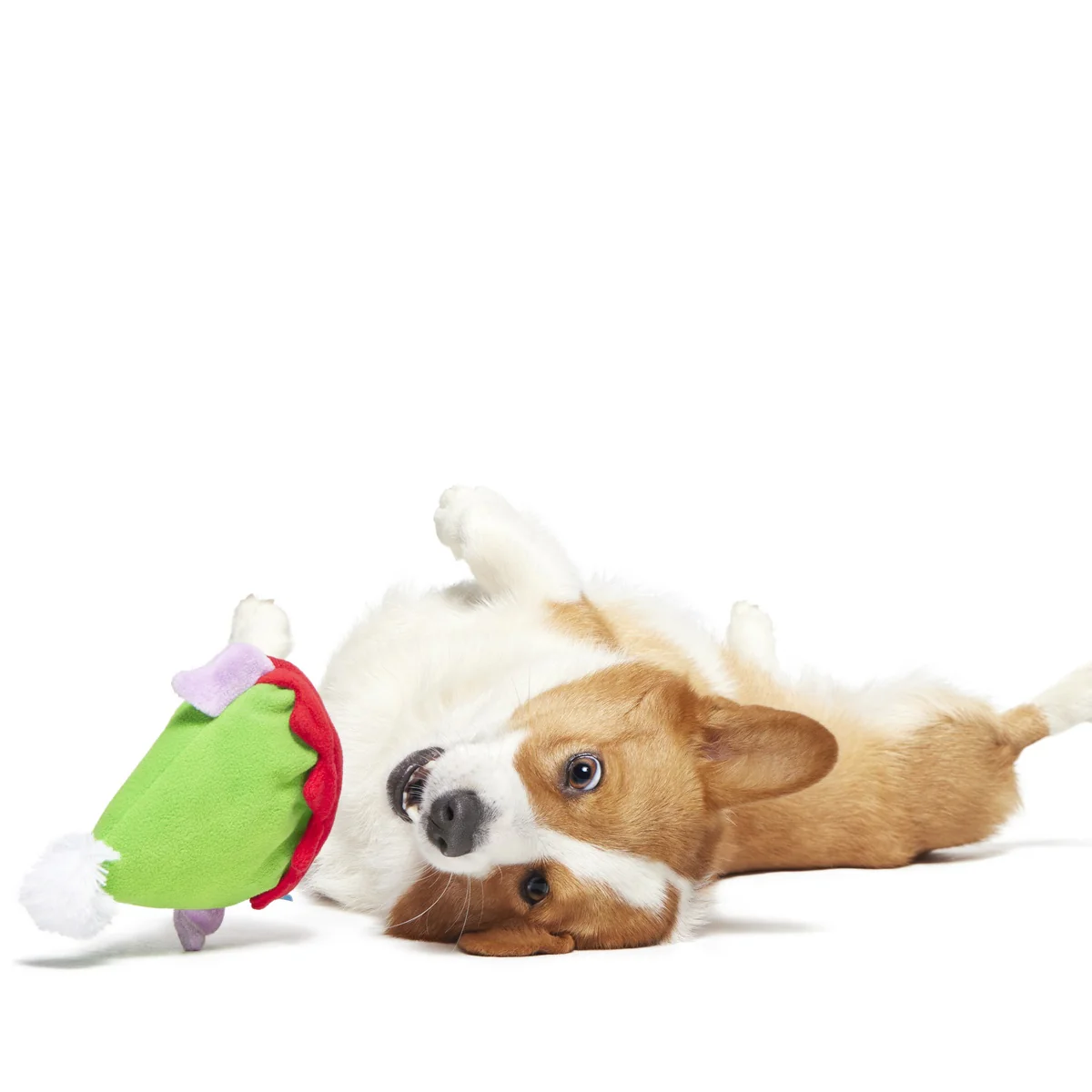 Santa's Little Yelper Plush Wearable Dog Toy - Image 4