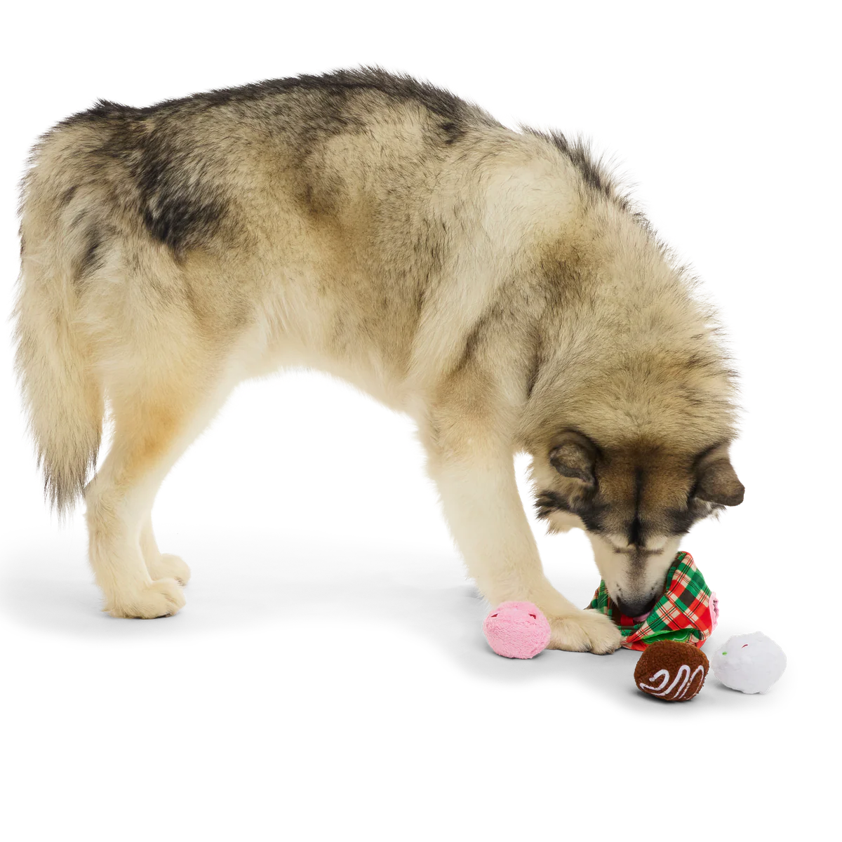 Saturday Night Live: Schweddy Balls Plush Multi-Part Dog Toy - Image 6
