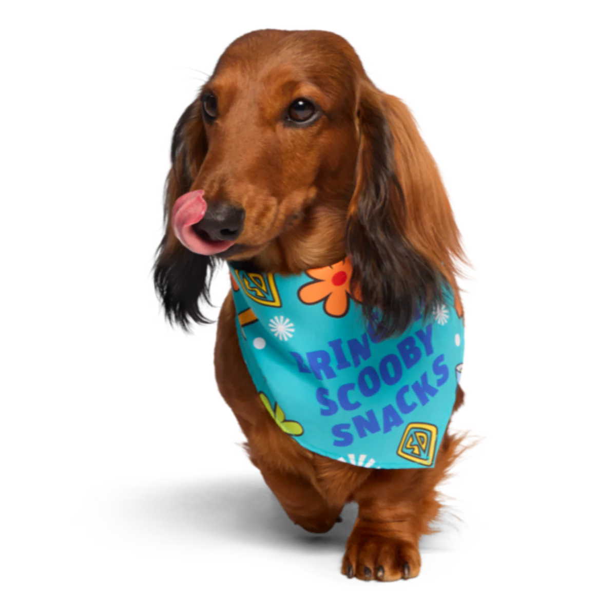 Scooby-Doo™ Bundle Plush Extra-Large Dog Toy - Image 4