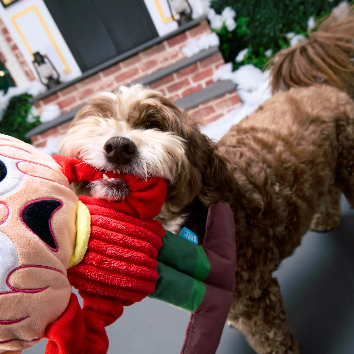 Screamin' Kevin Extra-Large + Tug Dog Toy - Image 4