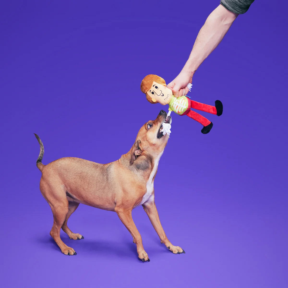 Shaggy™ Skelly - Image 2